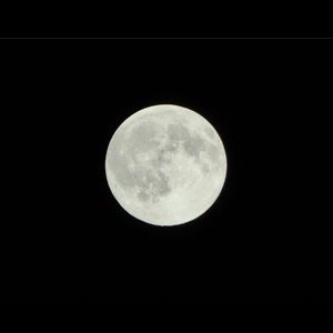 Meet your Posher, Luis