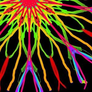 Meet your Posher, Elvia