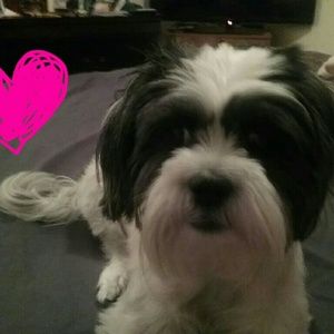 Meet your Posher, Byron