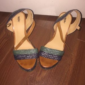 Blue and green wedges