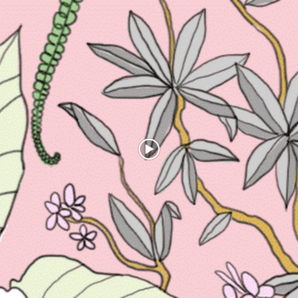 Meet your Posher, Kyra - Picture 1 of 1