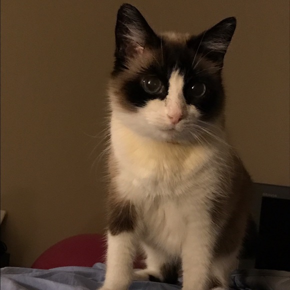 Meet your Posher, Dustin