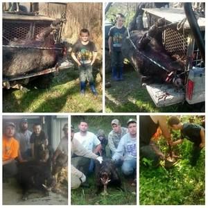 Meet your Posher, April