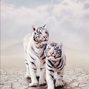 Meet your Posher, Claudia