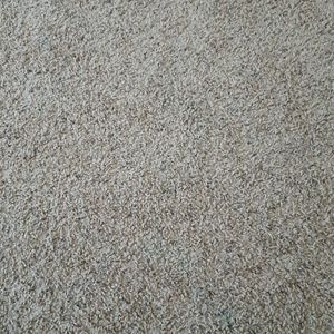 Meet your Posher, Bryce