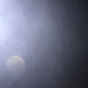 Meet your Posher, Bannana