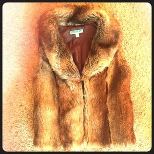 Brown Faux Fur Vest from Francesca's medium