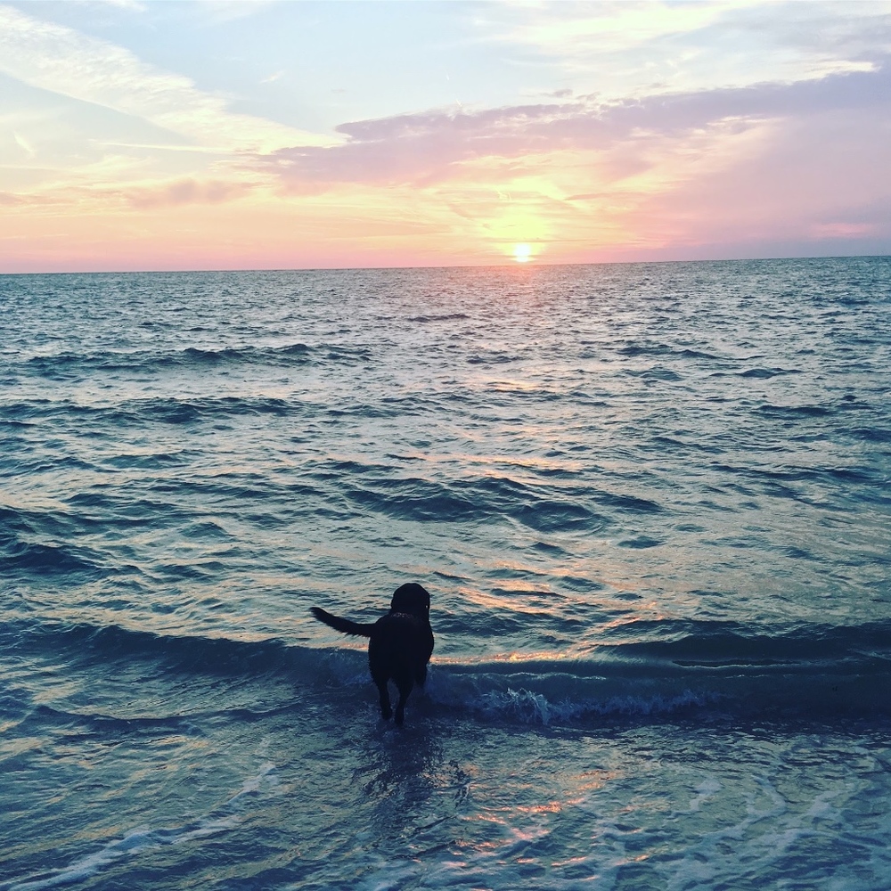 Meet your Posher, Traci