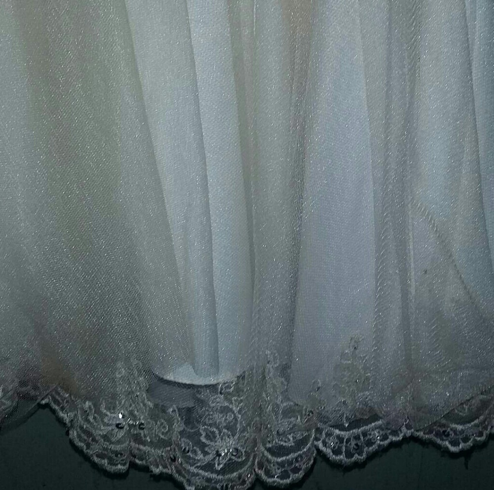 Lace with sparkle Dress? - Picture 4 of 4