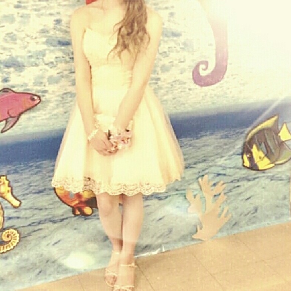 Lace with sparkle Dress? - Picture 2 of 4