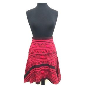 American Apparel High-Waisted Flare Skirt