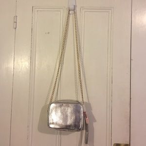 NWT Victoria's Secret Silver and Gold Purse