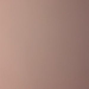 Meet your Posher, Bianca