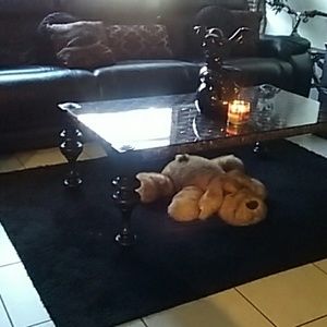 Meet your Posher, Aleta