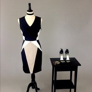Black White and Nude Color Block Dress