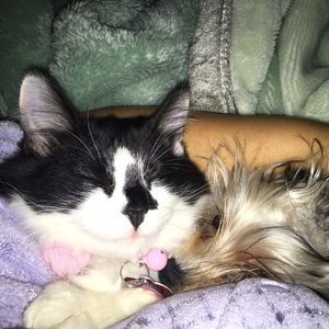 Meet your Posher, Maria