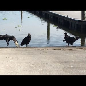 Meet your Posher, Layla