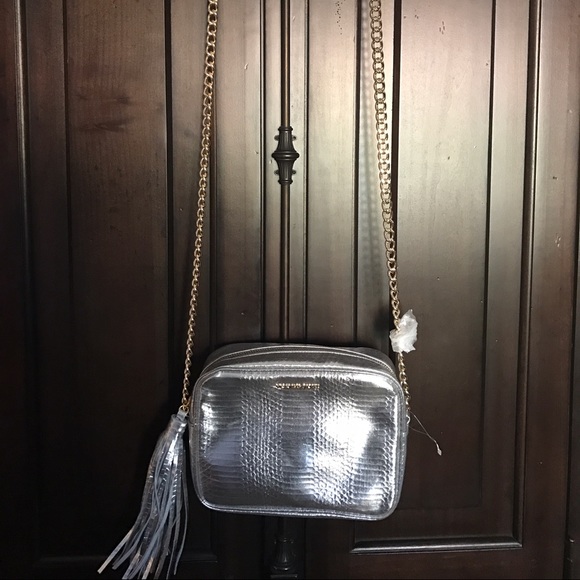 Silver purse with gold chain