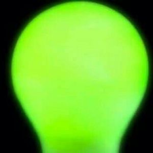 Meet your Posher, Ann