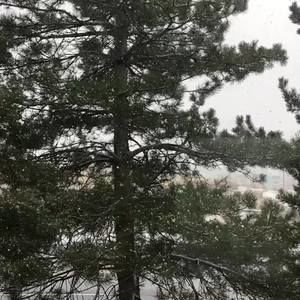 Meet your Posher, Luisa