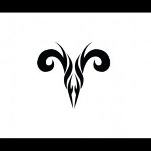 Meet your Posher, Javier