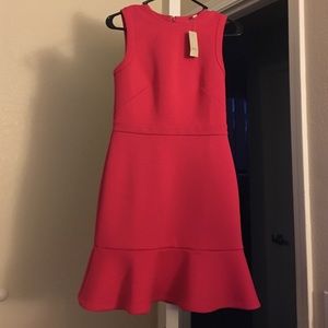 Loft NWT gorgeous dress