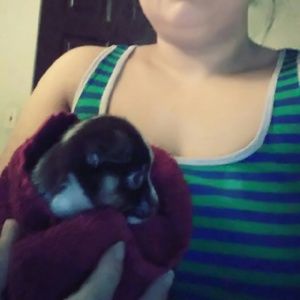 Meet your Posher, Ofelia