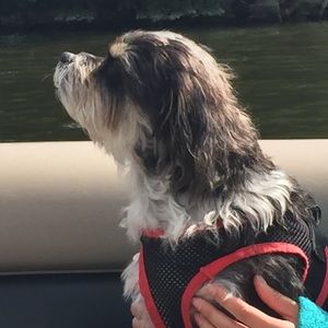 Meet your Posher, Carrie