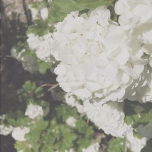 Meet your Posher, Abi