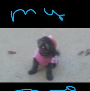 Meet your Posher, Sharon