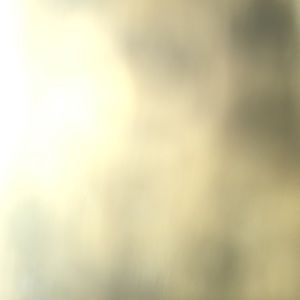 Meet your Posher, Ethan