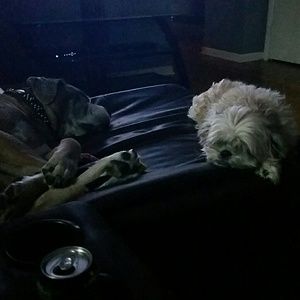 Meet your Posher, Jean