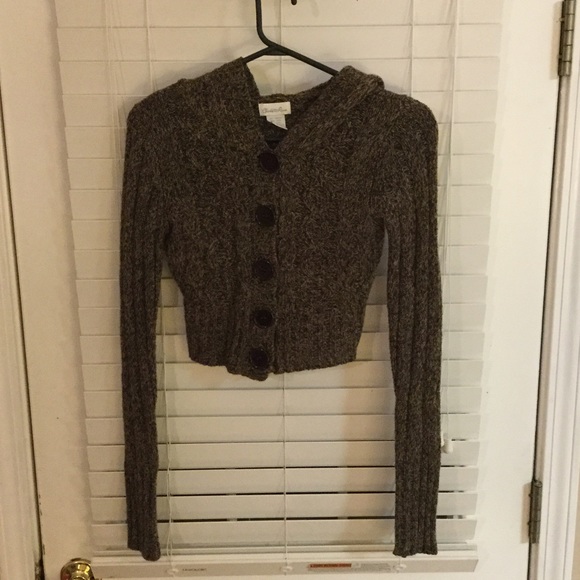 Charlotte Russe cropped sweater hoodie