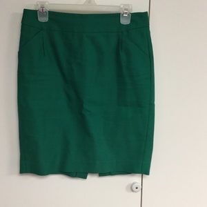 Professional Skirt