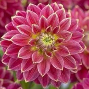 Meet your Posher, Maranda