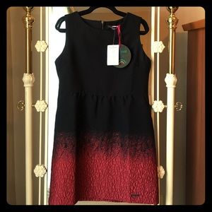 Gorgeous Ombré Dress