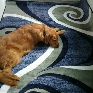 Meet your Posher, Robyn