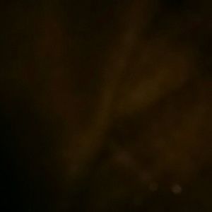 Meet your Posher, Martha