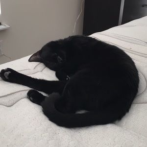 Meet your Posher, Jesse