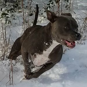 Meet your Posher, Renee