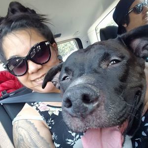 Meet your Posher, Lola