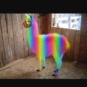 Meet your Posher, Sunshynnecarrie