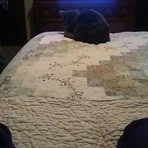 Meet your Posher, Shanna