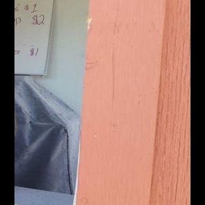 Meet your Posher, Sadie