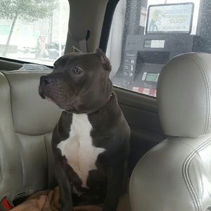 Meet your Posher, Kalisha