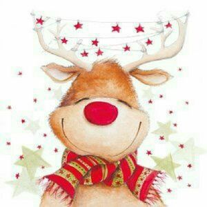 Meet your Posher, Karol