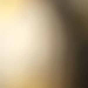 Meet your Posher, Snns