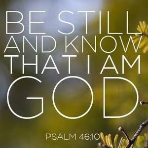 Meet your Posher, Ronnie