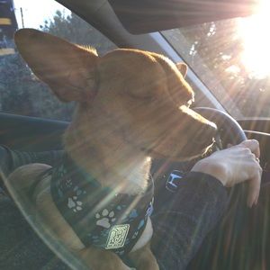 Meet your Posher, Andrea