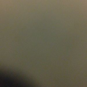 Meet your Posher, Randy